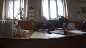 Какие распашные гаражные ворота приобрести и как обойтись без листа металла 3мм