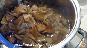 РЫЖИКИ в томате