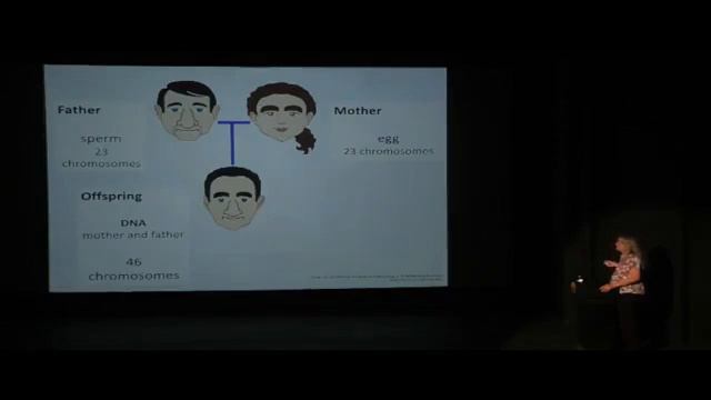 Mountaintop Treasures: The Southern Appalachians as a Hotspot for Biodiversity смотреть онлайн