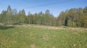 Продается земельный участок 25 соток в деревне Корелы, рядом с деревней Верхние Дворики.