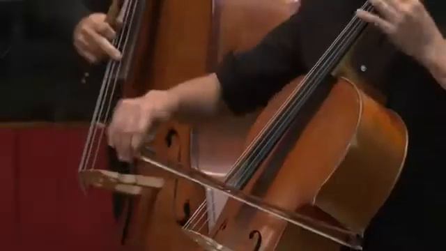 L.Anderson  Waltzing cat /Л. Андерсон Вальсирующая кошка смотреть онлайн