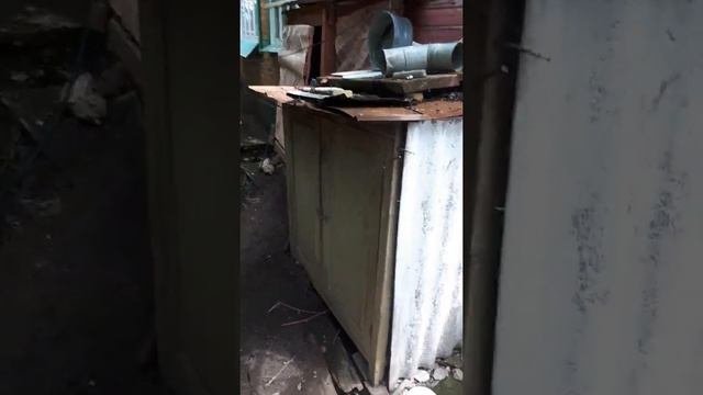 20 ноября 2020 г.