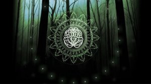 № 11. Что такое трансцендентальная медитация? Как медитировать? Специальная тема.