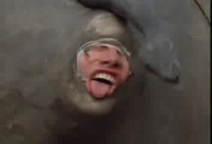 Рождение Вентуры