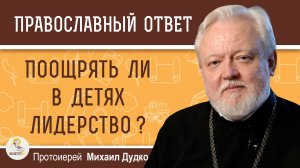 ПООЩРЯТЬ ЛИ В ДЕТЯХ ЛИДЕРСТВО ?  Протоиерей Михаил Дудко