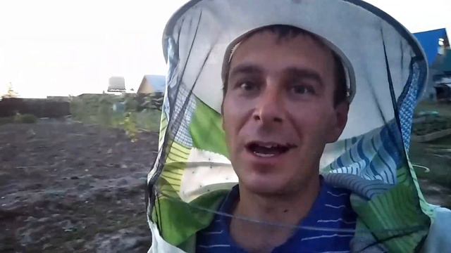 закормка пчёл в зиму сахарным сиропом смотреть онлайн