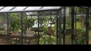Теплица в английском стиле