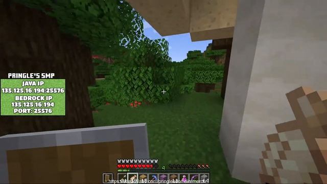 MINECRAFT PRINGLES SMP - Going to the mansion - BEDROCK AND JAVA SUPPORT смотреть онлайн