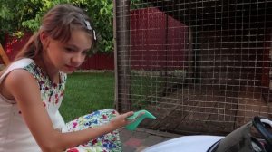 VLOG Надя боится енота. Я прыгаю на батуте