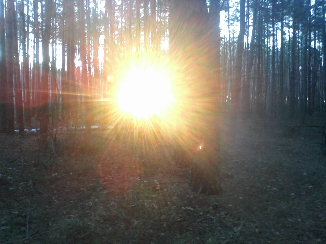 CF обзор TTR 125