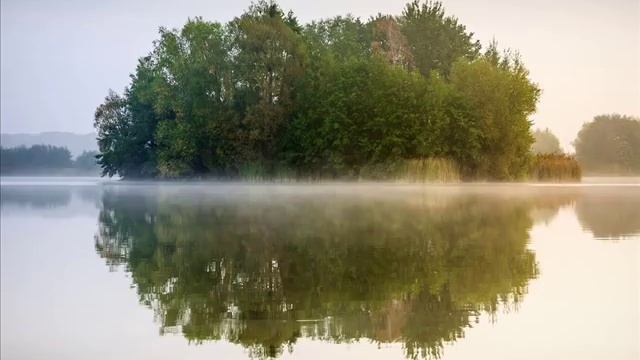 Аспекты и положения, склоняющие к изменам смотреть онлайн