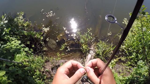 Уклейка на спиннинг, летняя микроречка. смотреть онлайн