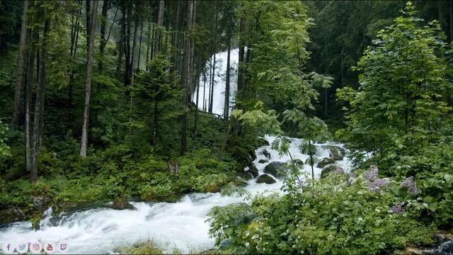 лучшая музыка? поможет снять усталость от стресса? успокоит нервную систему смотреть онлайн