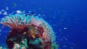 Сборник лучших песен! Песни о любви и красивые виды! 2024 !