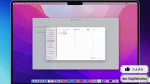 Как открыть видео и фото не открываются на компьютере Mac / Windows?