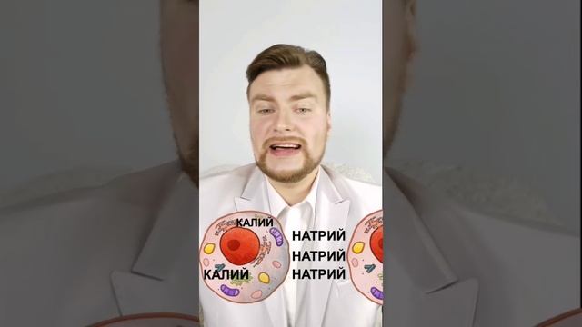 Роль натрия и калия в организме. ЕГЭ Биология. ЕГЭ 2021. смотреть онлайн