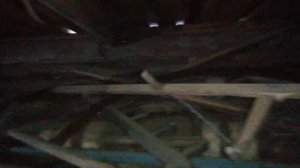 #49 Заброшенная деревня Вологодской губернии.  Родной бабушкин дом.