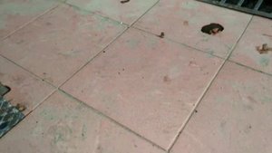 Якорь холла своими руками.Лучший Якорь для лодки.