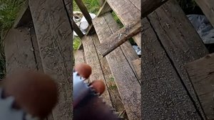 ножовка по дереву ижсталевская премиум 400