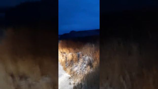 Кто ищеттот всегда найдёт.