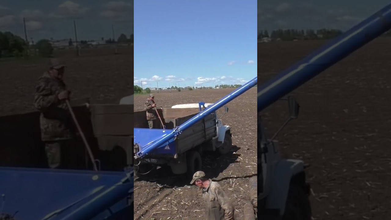 ДТ 75 на посевной! смотреть онлайн