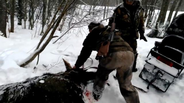 охота в краснодарском крае. охота 2016 год. охота на утку александр грек. охота 2016 год. охотники фильм 2016.