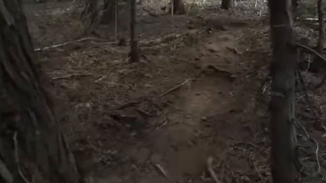 Mike Hopkins Rossignol Clothing Promo смотреть онлайн