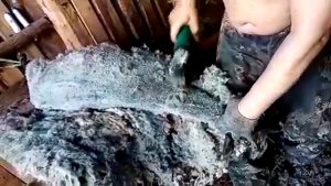 Стрижка овец машинкой Массбур