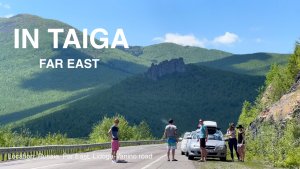 В Тайге | In Taiga