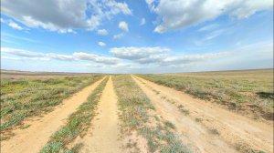 Астраханская степь  VR 360.Звуки природы