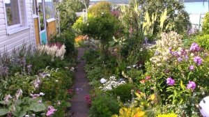 Каменистый садик и ещё немного сада.