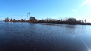 Копия на воблер Zipbaits Orbit 130 SP #Bearking