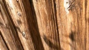 Купили дом на Юге за 750 тысяч рублей. Переезд на Юг.