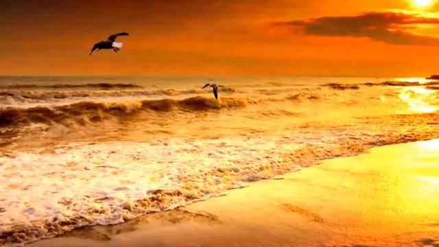 Franck Pourcel - Anonimo Veneziano смотреть онлайн