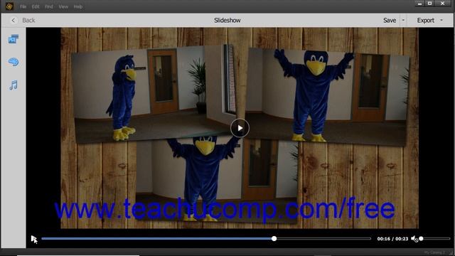Photoshop Elements 2019 Tutorial Creating a Slide Show Adobe Training