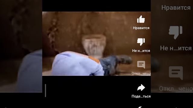 туту алет