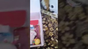 Мой День Рождения🎈🎈🎈🎉🎉🎉🎉