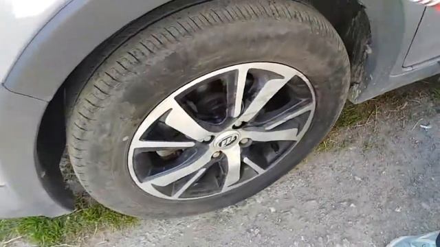 Собаки писают на колеса / Как отвадить псов ? смотреть онлайн