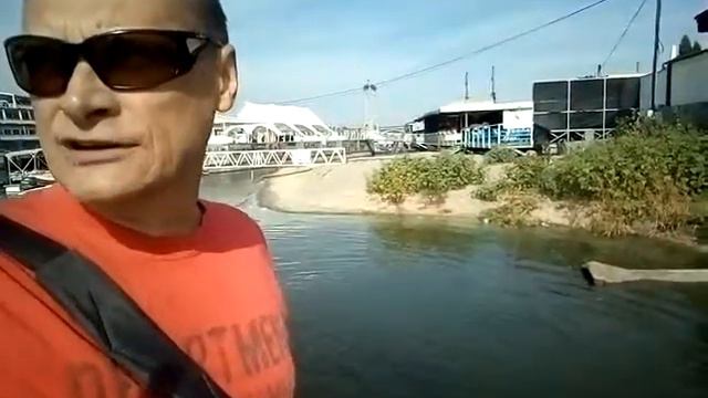 Лабрадор-ретривер Деми на прогулке с водными процедурами лабрадор лабрадорретривер собаки
