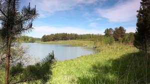 Лесное озеро около деревни Каменушка, Гурьевский район, Кемеровская область