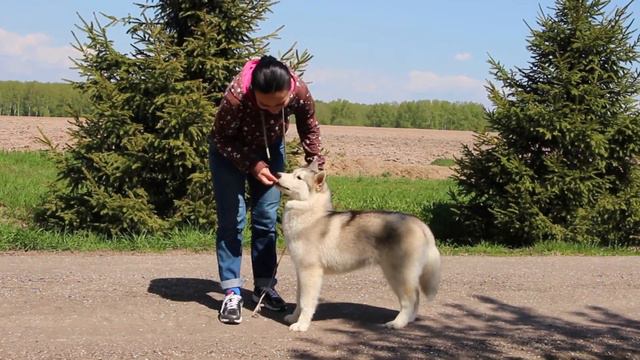 Федор HD 1080p смотреть онлайн