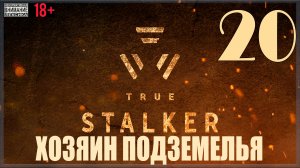 ☢ True Stalker | S.T.A.L.K.E.R. CoP mod #20 Хозяин Подземелья