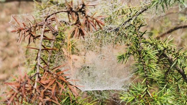Весенний поход на гору св. Нины и на скалу Парус из Джанхота. Школа жизни "Озарение" смотреть онлайн