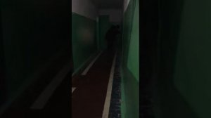 Питбуль напал на своего хозяина!