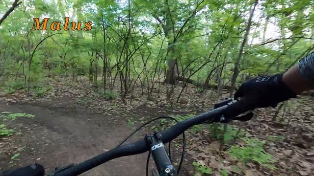 Mongoose Dolomite ALX (2021) vs Mongoose Malus (Both under $500?!) смотреть онлайн