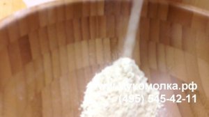 Мельница Single с каменными жерновами для цельнозерновой муки