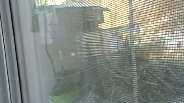 подсмотрено смотреть онлайн