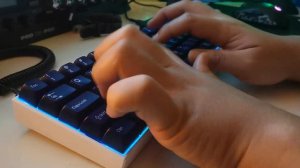 OBINSLAB Anne Pro 2 Gateron Blue Sound Test