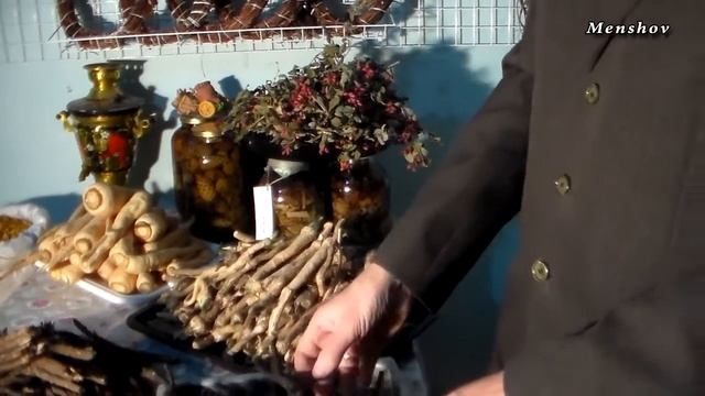 Корень окопника. Вид, польза смотреть онлайн