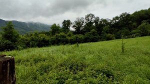 28сот Сочи, Кичмай. Около чайных плантаций. Ровный!